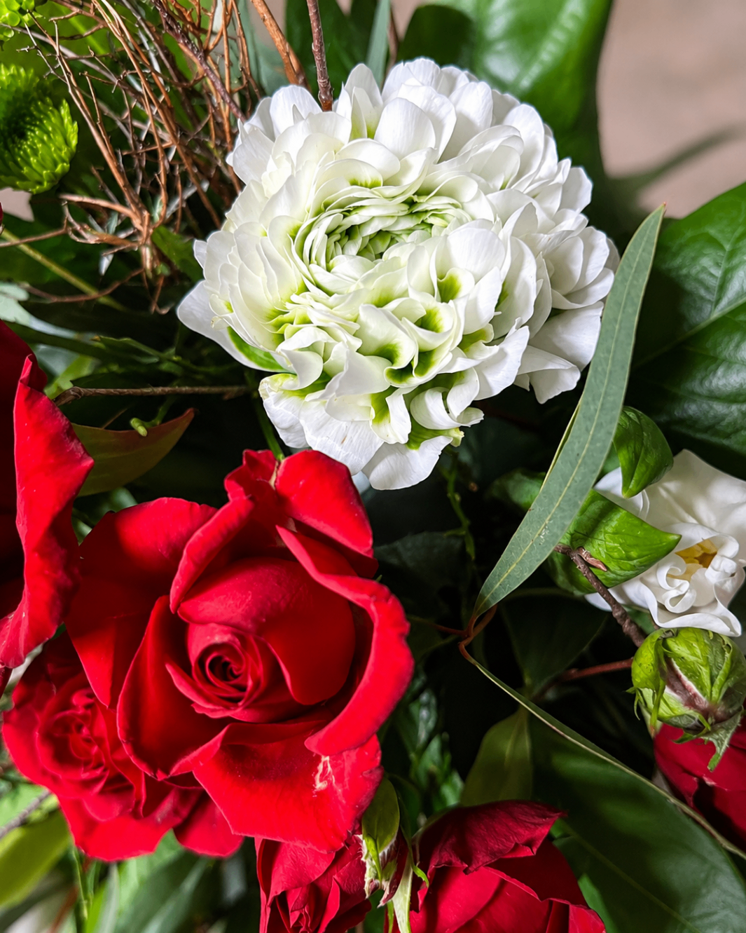 Detailaufnahme von roten Rosen mit weißer Ranunkel